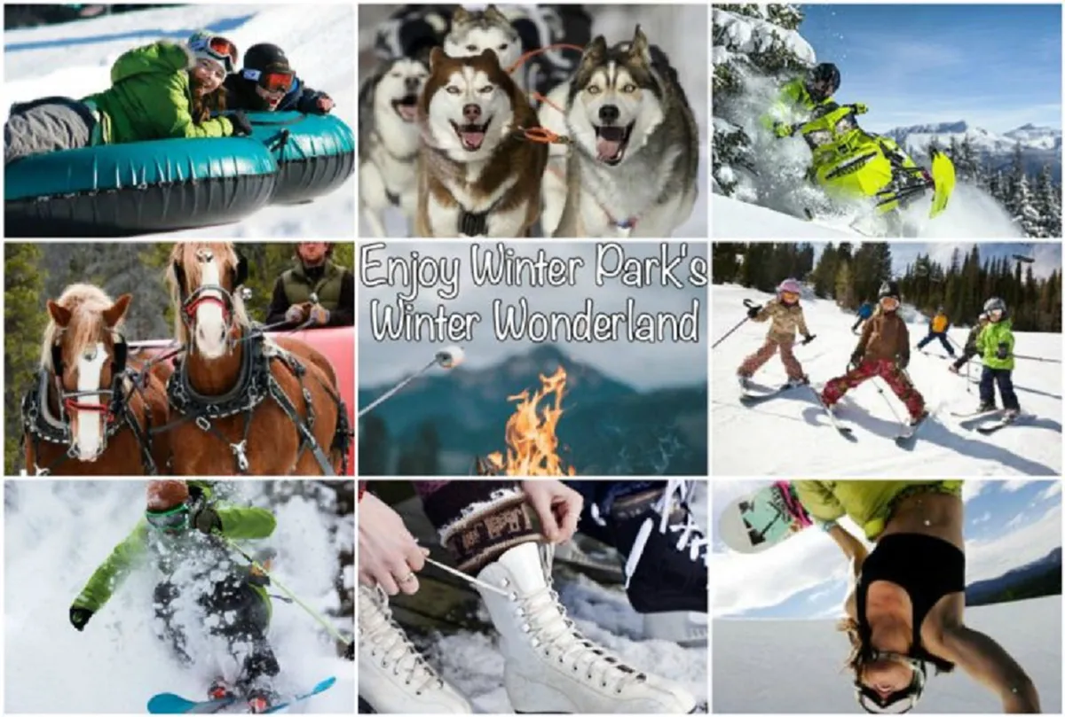 A vibrant winter scene featuring people snow tubing, husky dogs ready for sledding, children skiing, and a snowboarder in mid-action. Horses in harness and a cozy fire pit add variety, illustrating a range of snowy outdoor activities.